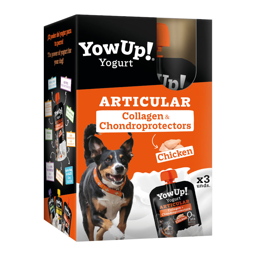 YowUp! Articular Iogurte de Frango para cães