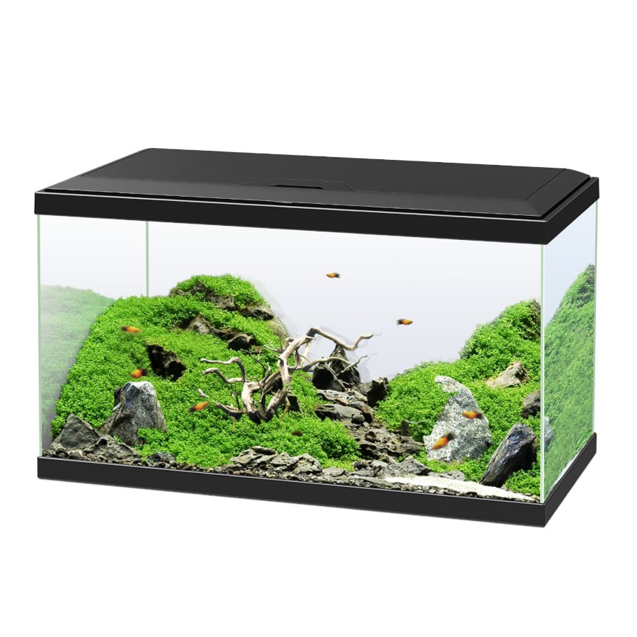 Ciano Aqua Led 60 Aquário Preto com Luz led, filtro e aquecedor