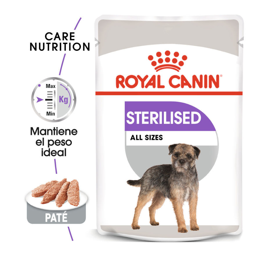 4.08 kg Royal Canin Sterilised Patê em saquetas para cães