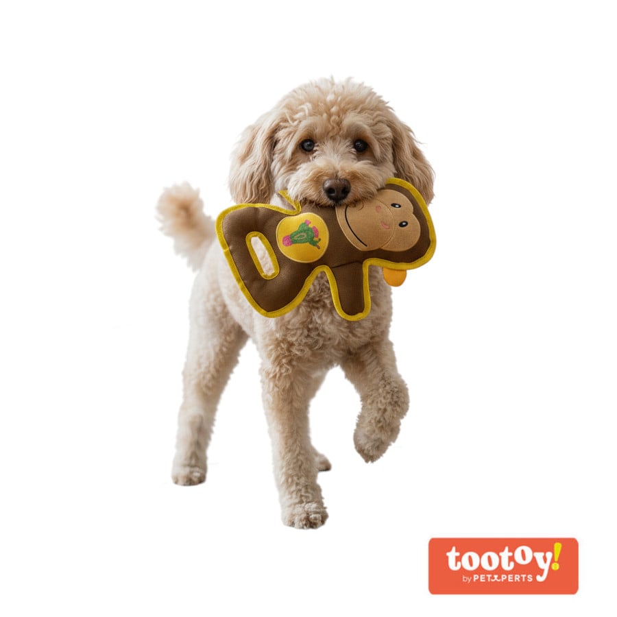 Tootoy! Comfort Peluche de macaco para cães