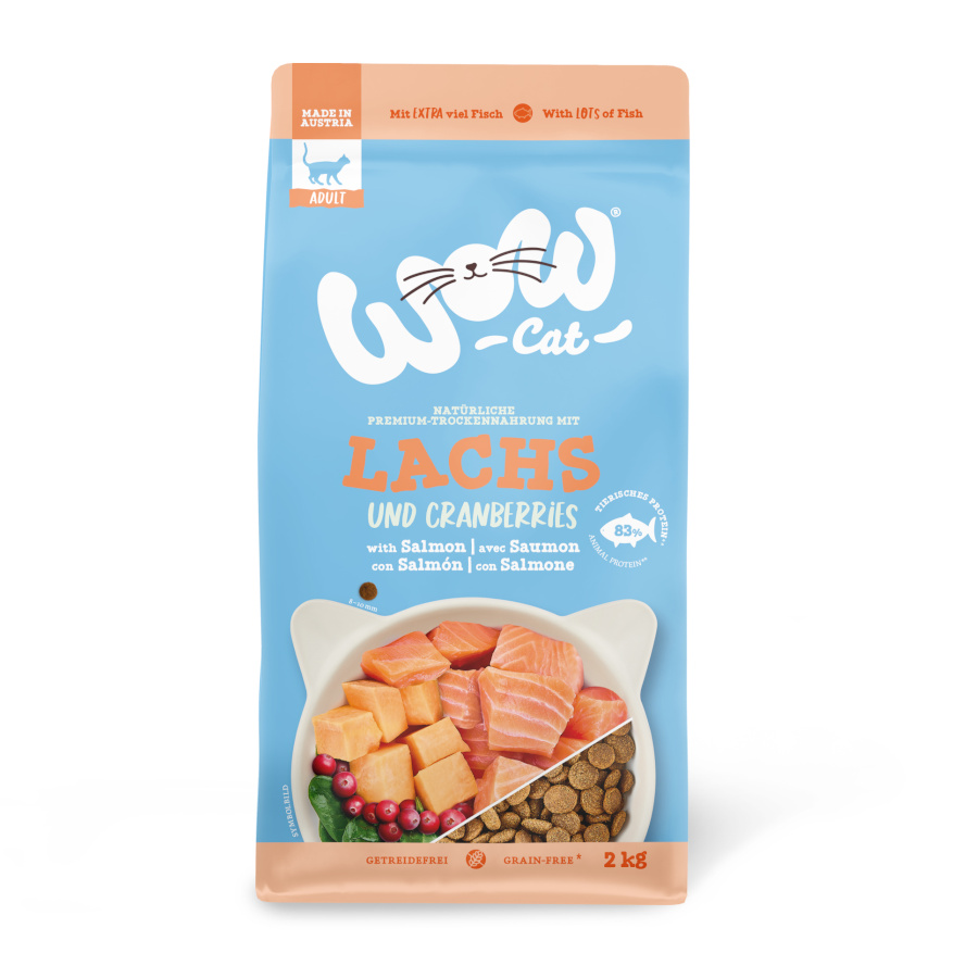 2 KG Wow, comida de gato salmão adulto
