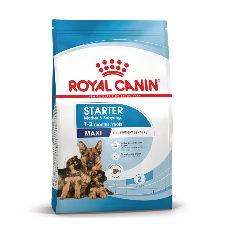 Royal Canin Starter Maxi MothereBaby ração para cães