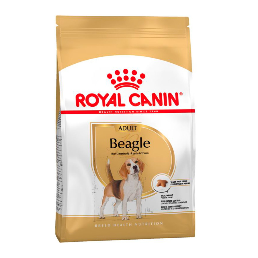 3 KG Royal Canin Adult Beagle ração para cães