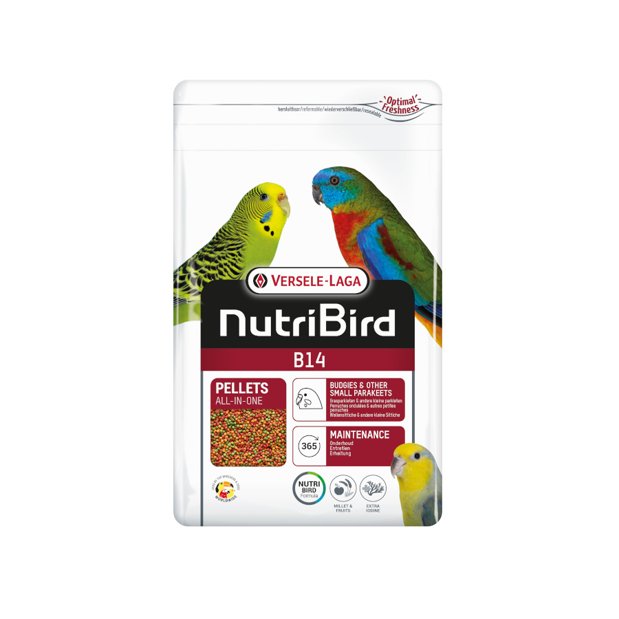 8 KG Versele Laga Nutribird B14 Alimento de manutenção para periquitos