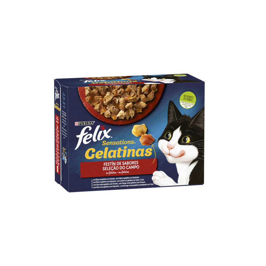 24 saquetas x 85 g Felix Sensations Seleção do Campo saquetas em galeia Pack poupança!