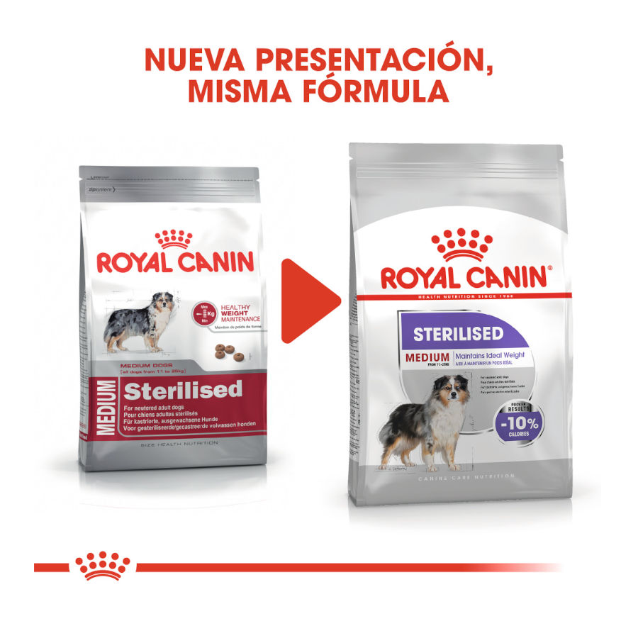 Royal Canin Medium Sterilised ração para cães, , large image number null