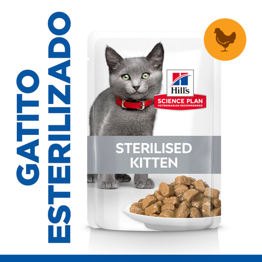 2 saquetas x 85 g Hill's Science Plan Feline Sterilised Kitten Frango em Molho saqueta para gatos Pack poupança!