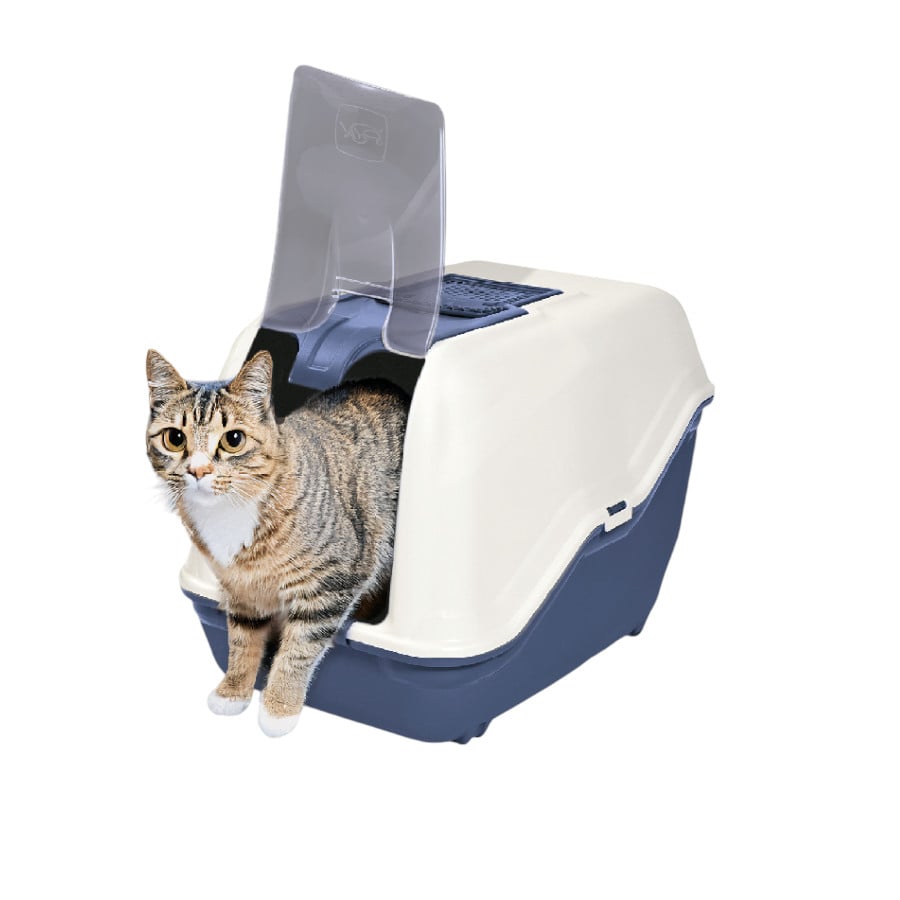 Nice Care Caixa de areia fechada Netta Close azul para gatos