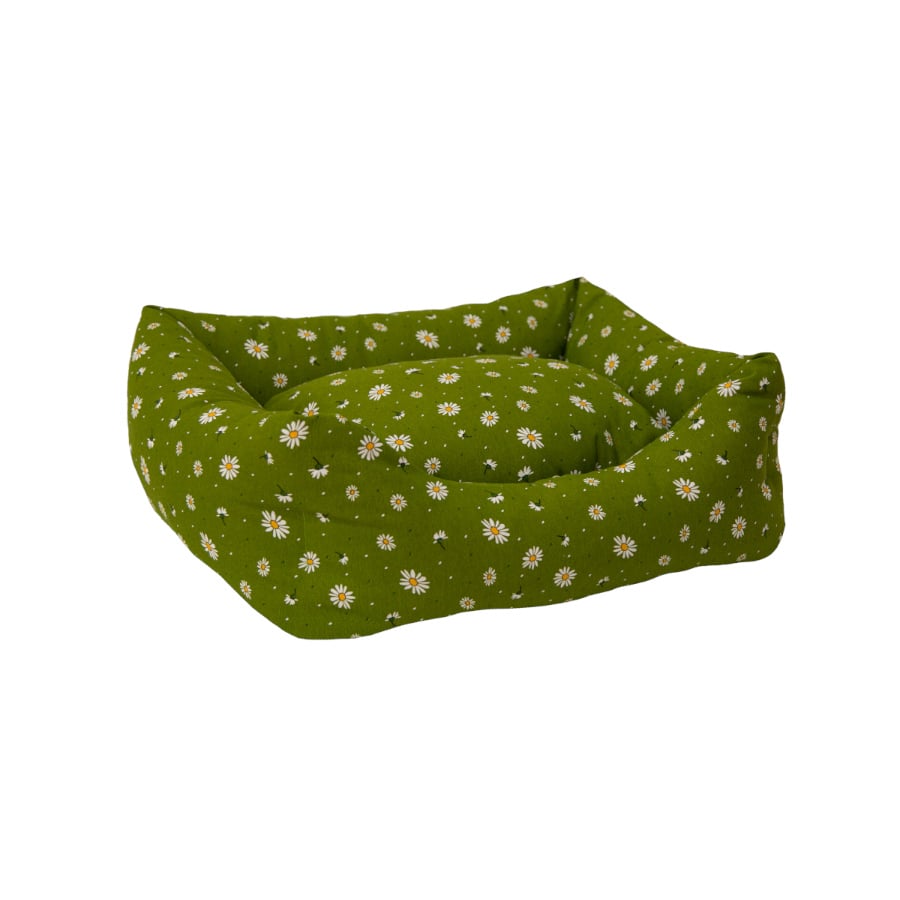 Cama dogzzz 2025