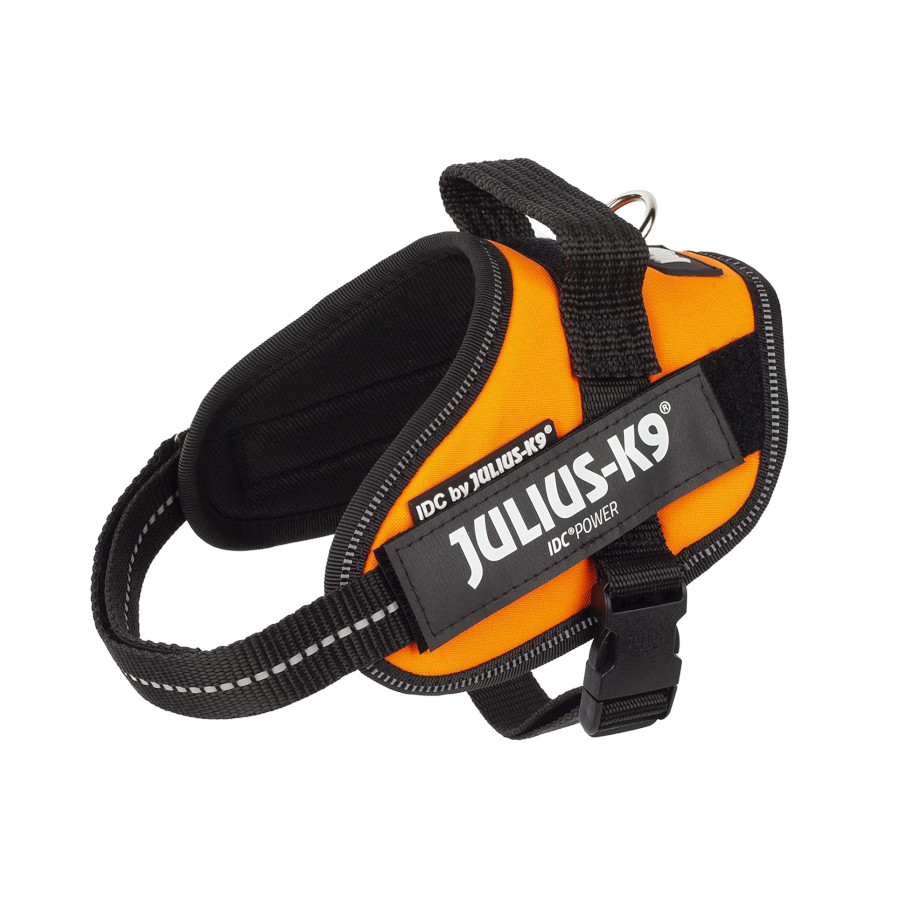 Julius K9 arnês laranja neon para cães