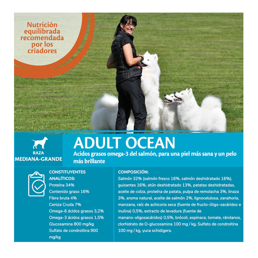 Wellness Core Adult Medium/Large Ocean Salmão e Atum ração para cães , , large image number null