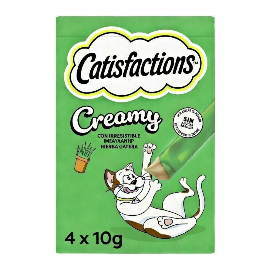 0.04 KG 4 sobres x 10 g Catisfactions Creamy Catnip Snack cremoso para gatos