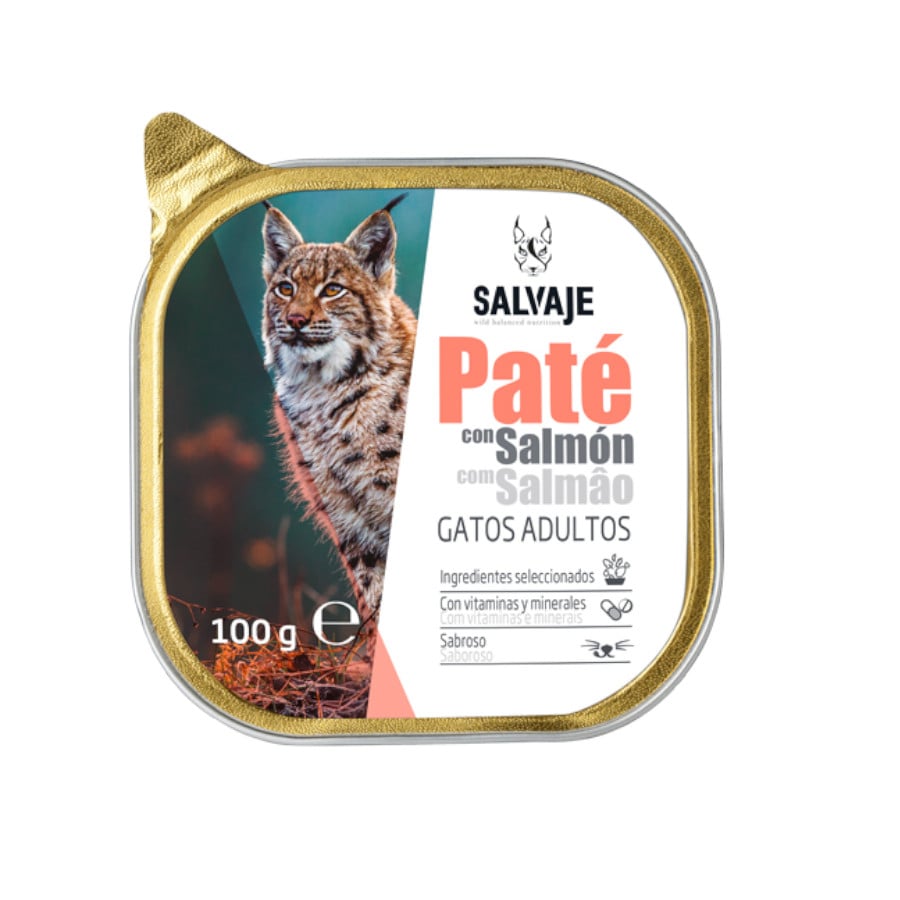 100 g Salvaje Adulto Salmão Patê em terrina para gatos