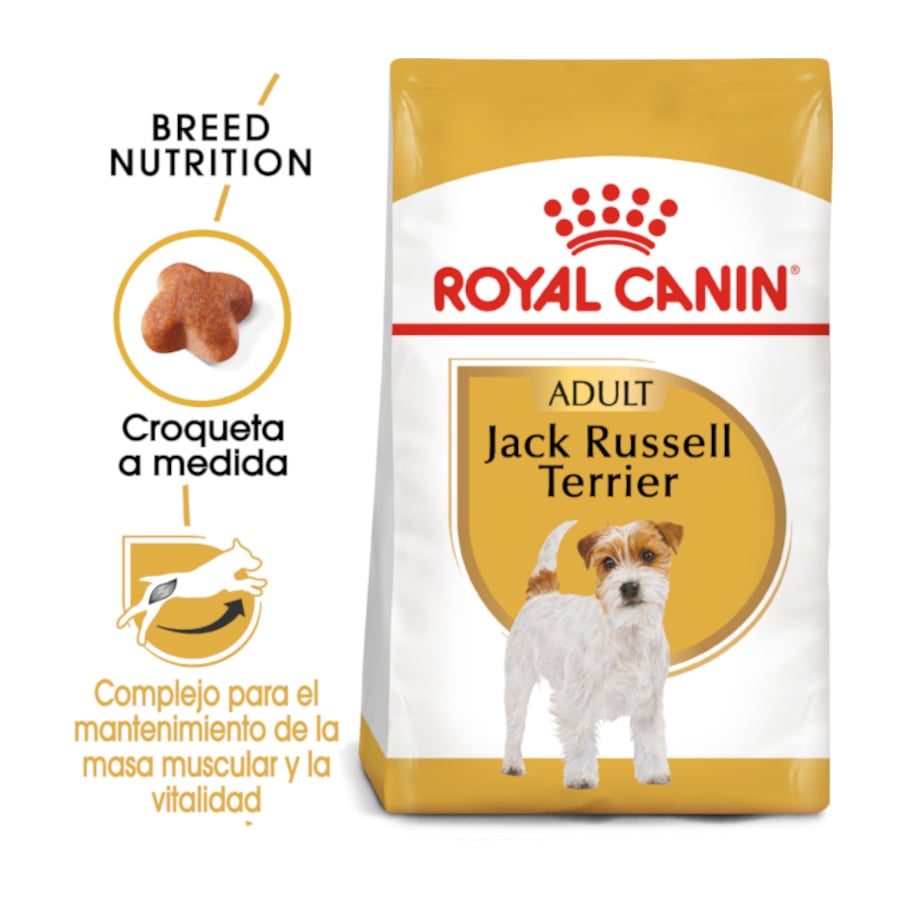 Royal Canin Adult Jack Russell Terrier ração para cães