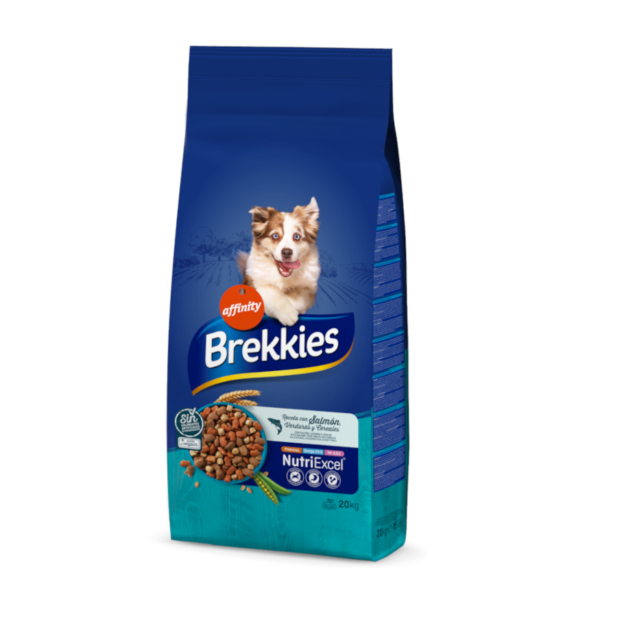 2 x 20 kg Brekkies Adult Salmão Ração para cães Pack poupança!