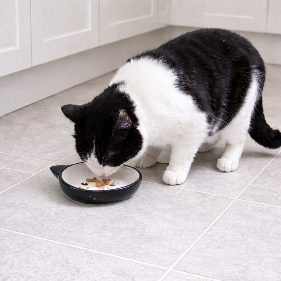 Leeby Comedouro de Cerâmica Branco e Preto com Orelhinhas para gatos