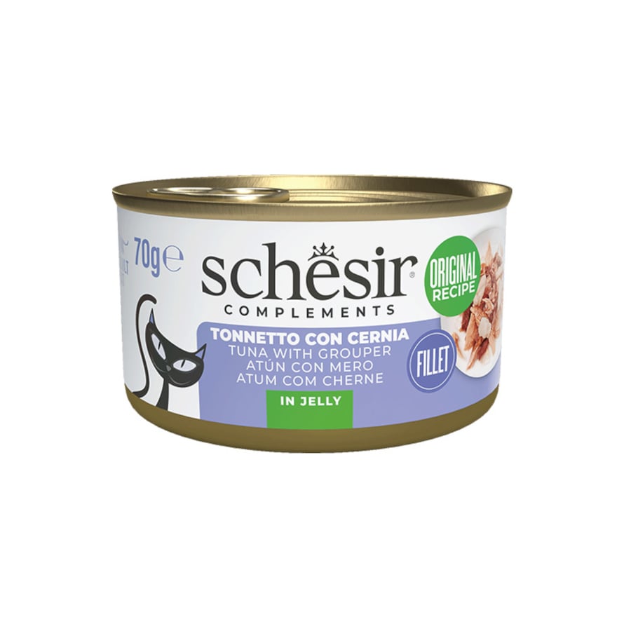12 latas x 70 g Schesir Atum com Denton em lata de gelatina para gatos Pack Poupança!