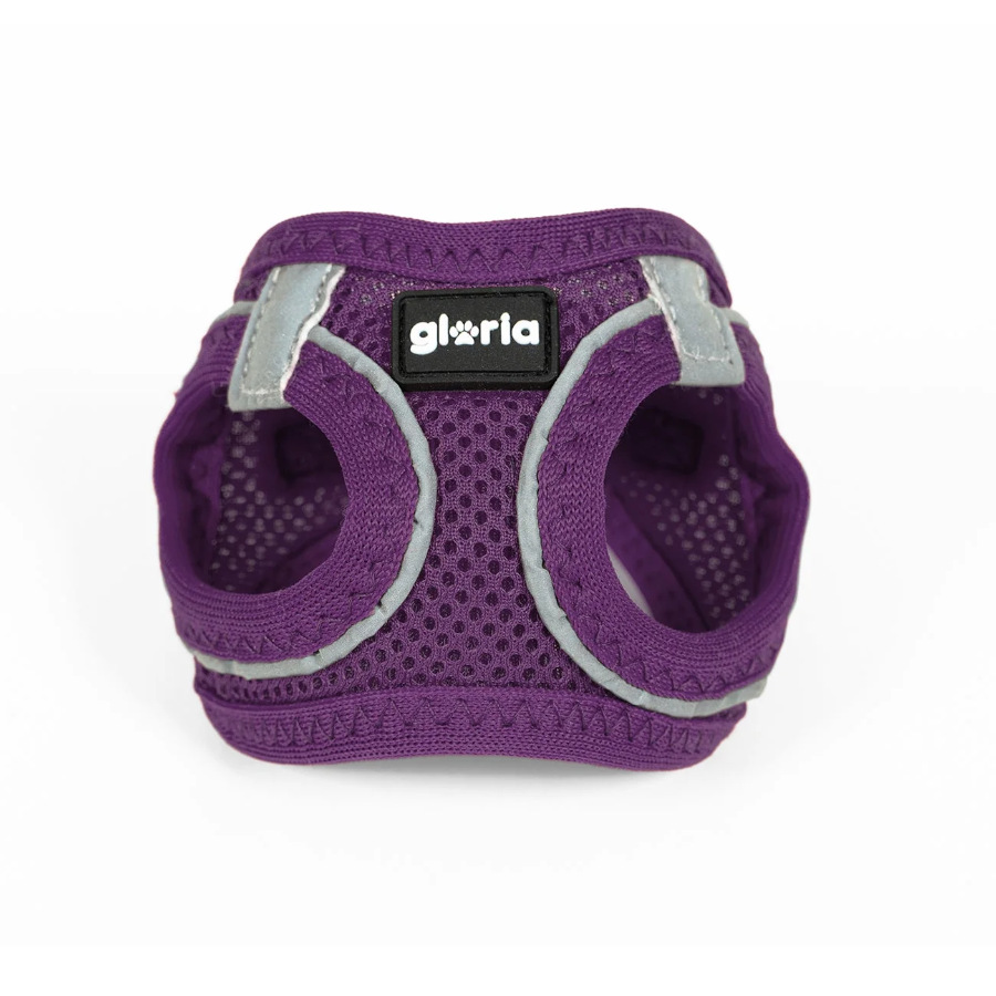 Gloria Air Mesh Trek Star Peitoral Roxo para cães