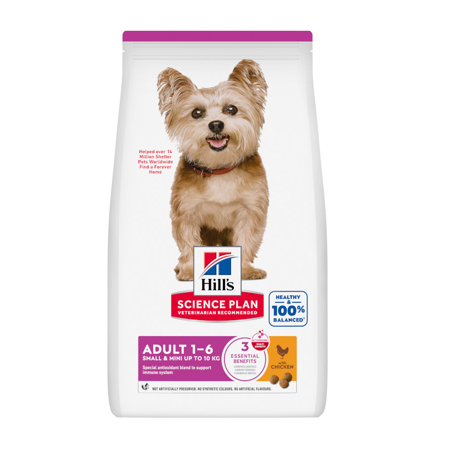 6 kg Hill's Science Plan Small Y Mini Adult Frango ração para cães