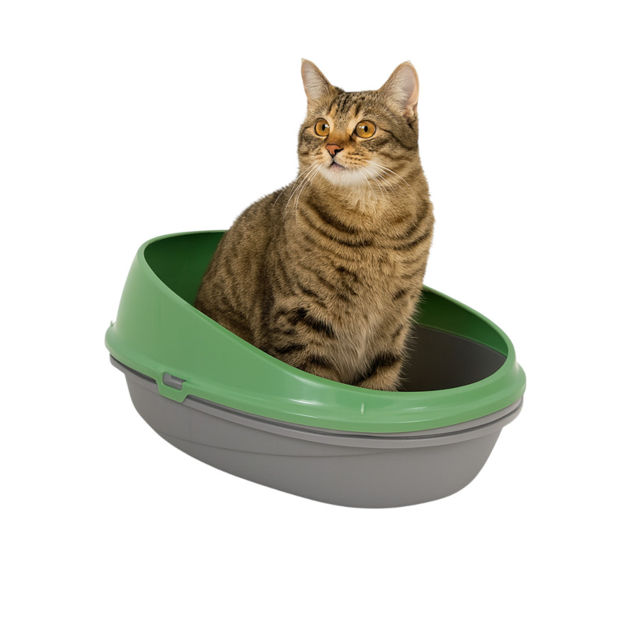 Nice Care Eco Caixa de areia Redonda verde para gatos