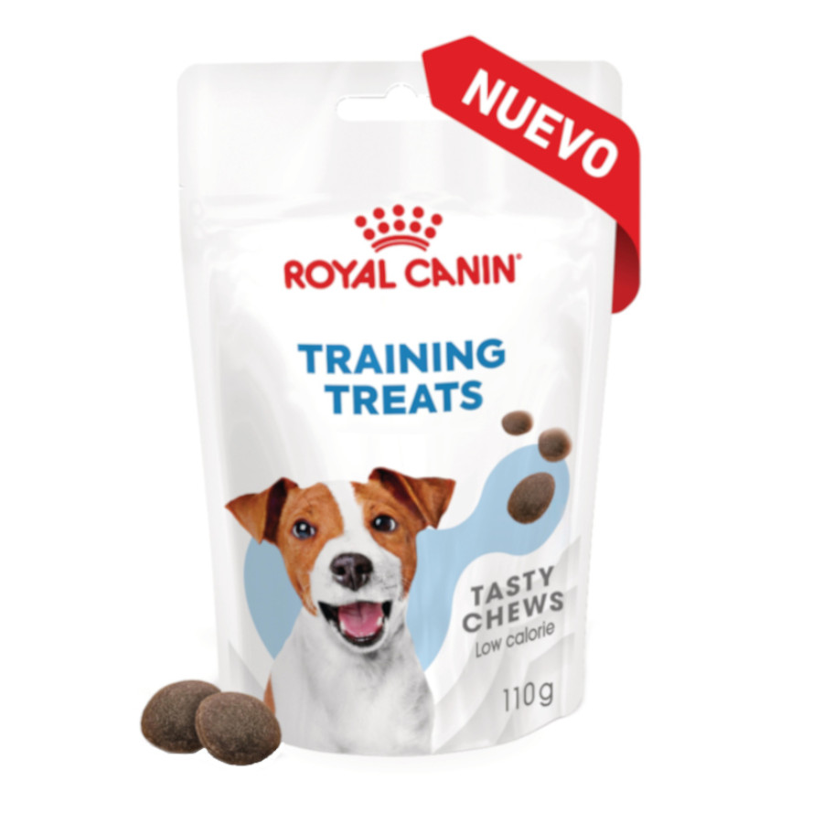0.11 KG Royal Canin Training trata cobras para cães