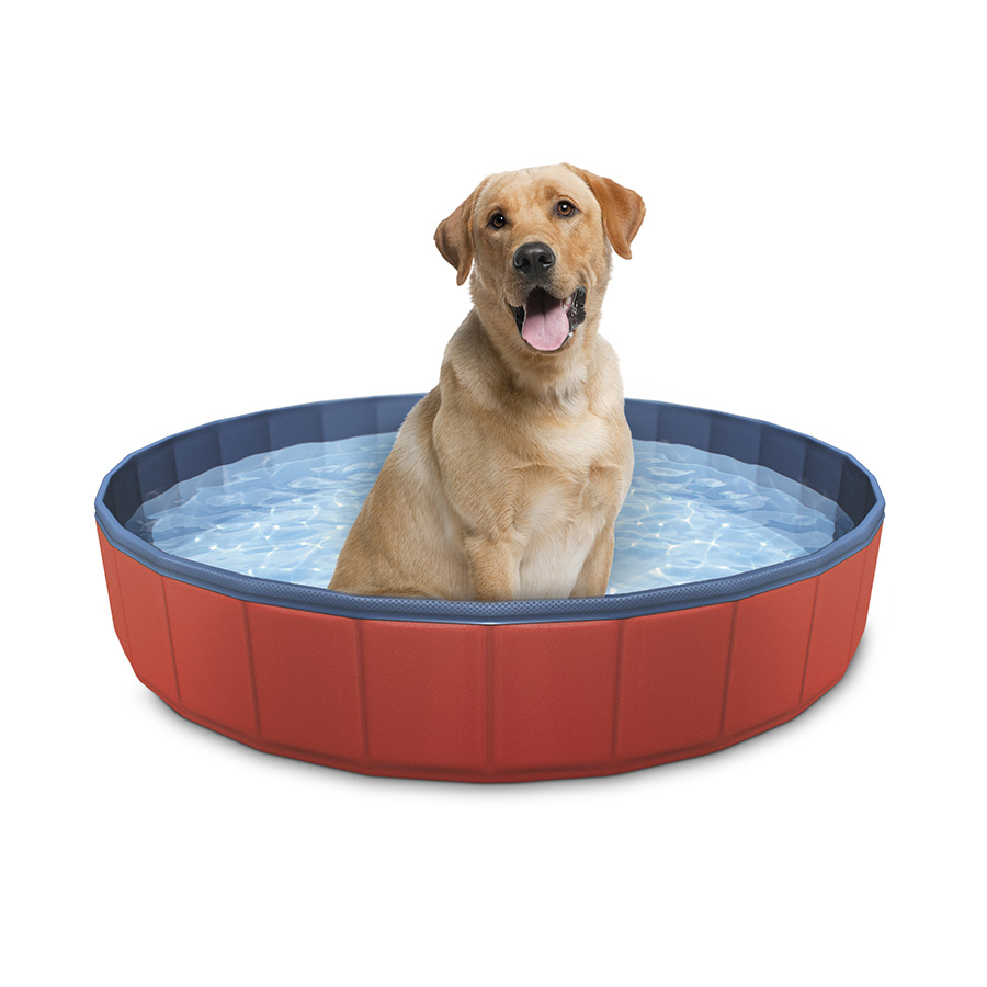 Summer Vibes Piscina para perro image number null