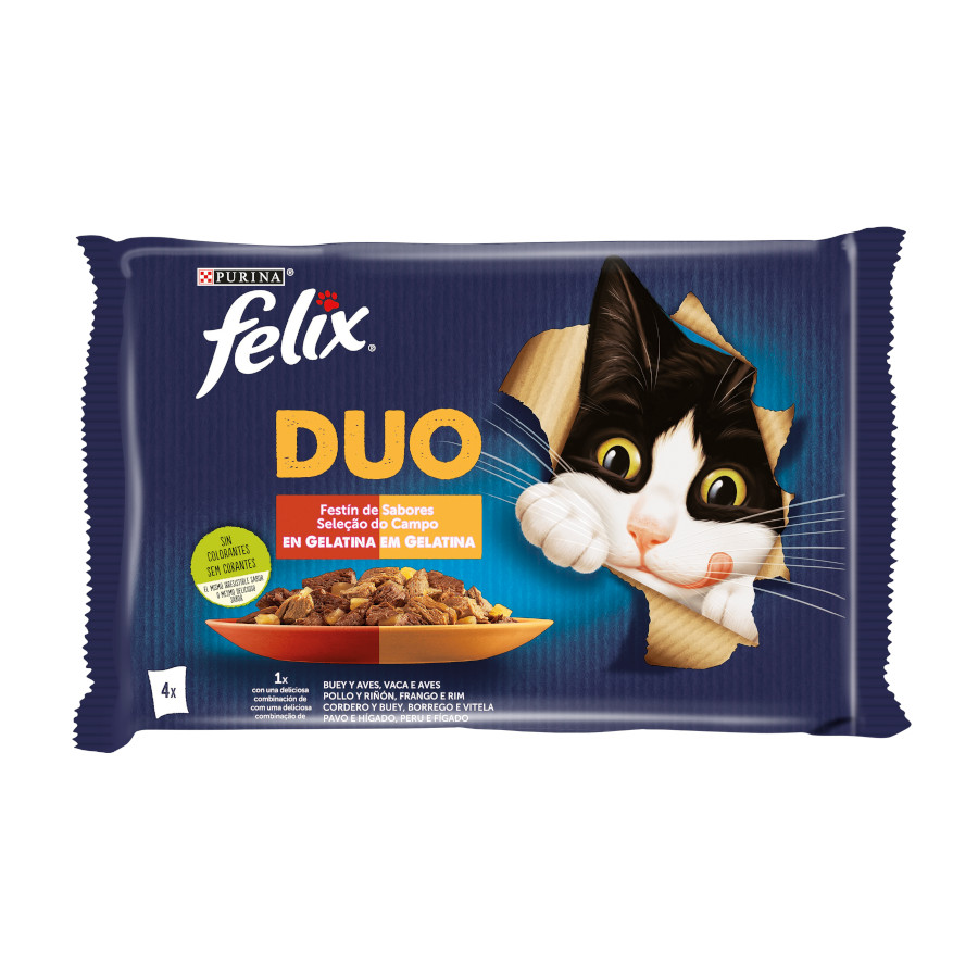 4 saquetas x 85 g Felix Fantastic Duo Carne em Gelatina saqueta