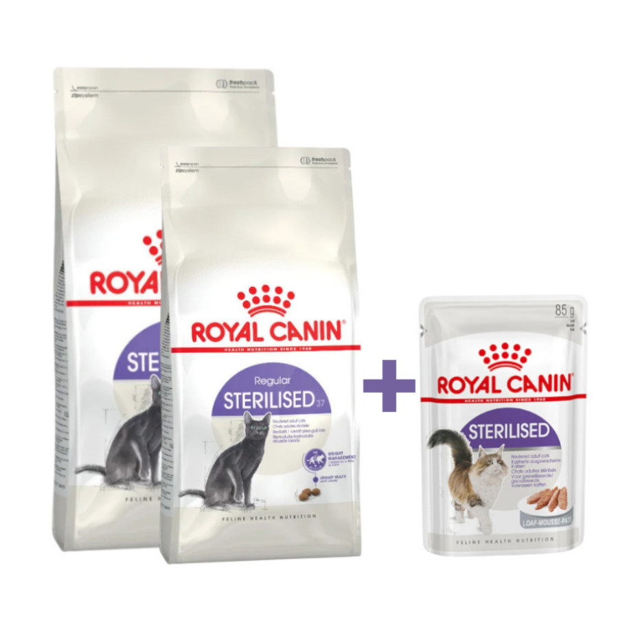 Royal Canin Pack 14 kg Alimento Esterilizado Regular + 24 sachês grátis Pack poupança!