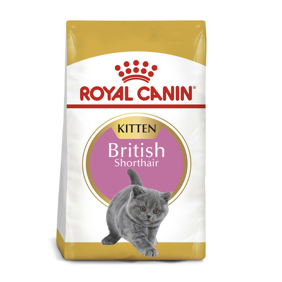 2 KG 2 kg Royal Canin British Shorthair Kitten Ração para gatos