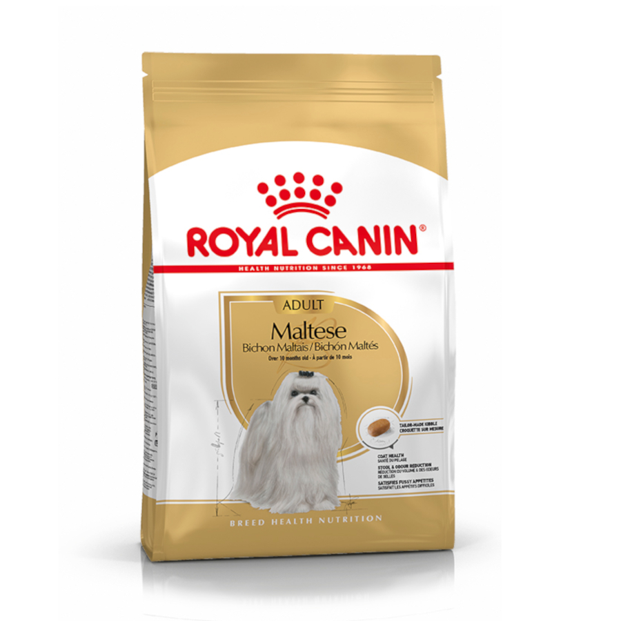 500 g Royal Canin Adult Bichón Maltês ração para cães