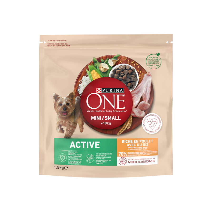 Purina One Mini Active Frango ração para cães