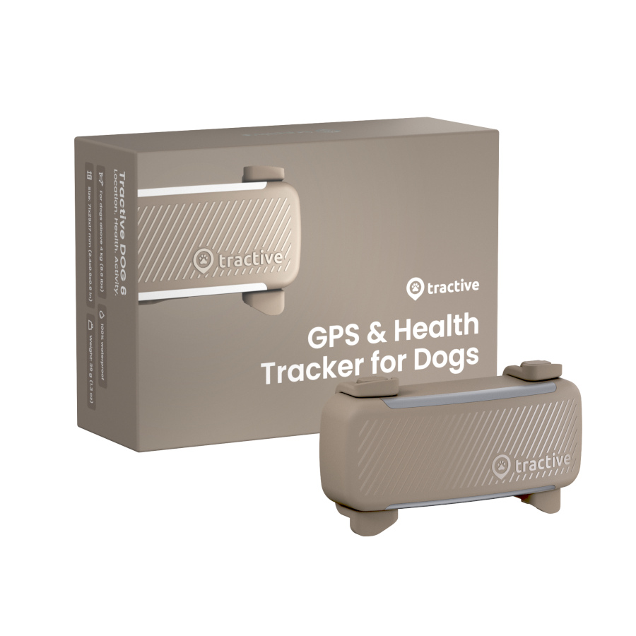 Tractive GPS Dog 6 Rastreador de cães marrom