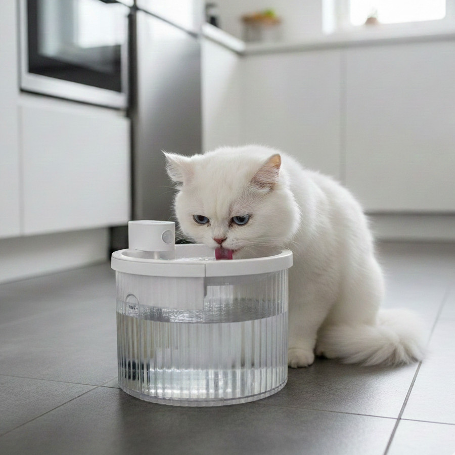 All For Paws Lifestyle Fonte sem fios para cães y gatos