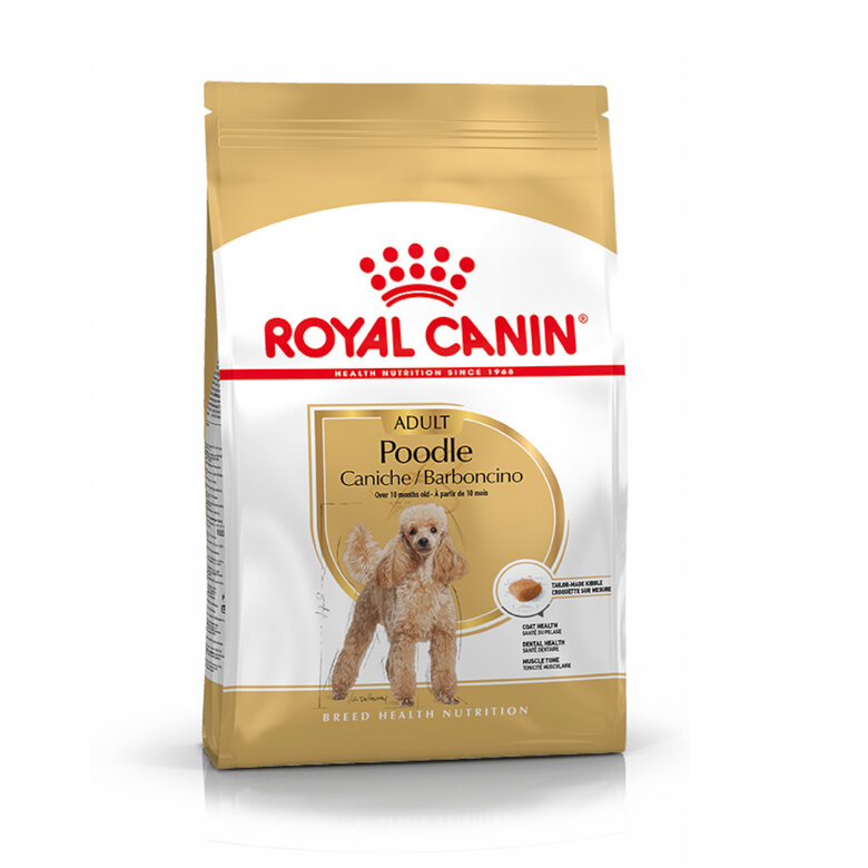 1.5 KG Royal Canin Adult Poodle ração para cães