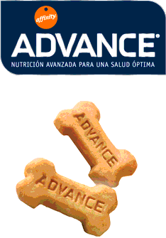 Lanche hipoalergÃªnico para cÃ£es