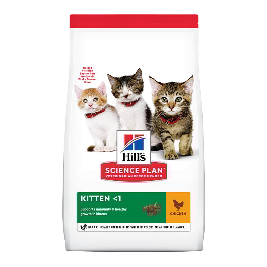 Hill's Kitten  Science Plan Frango ração