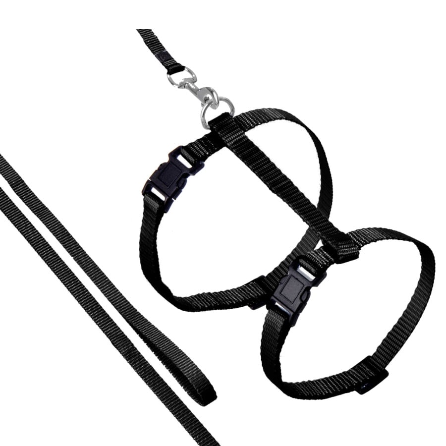 0.15 KG Flamingo Arnés con Correa Ziggi Negro para gatos