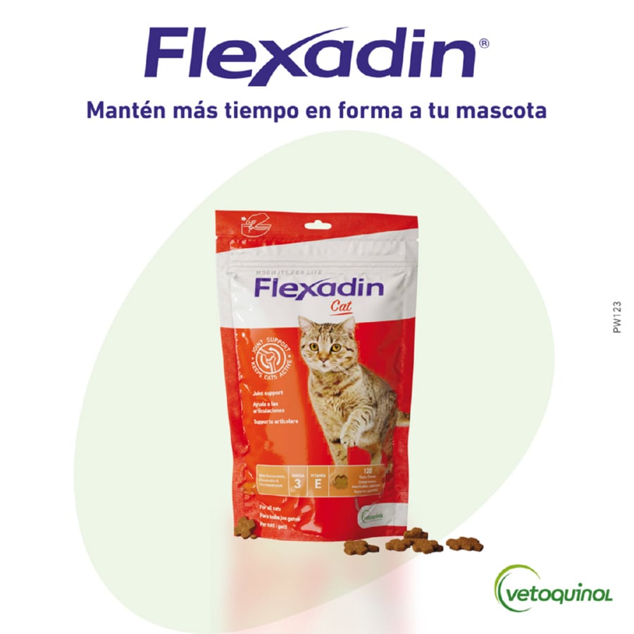 60 comprimidos Vetoquinol Flexadin Adult Condroprotetor para gatos