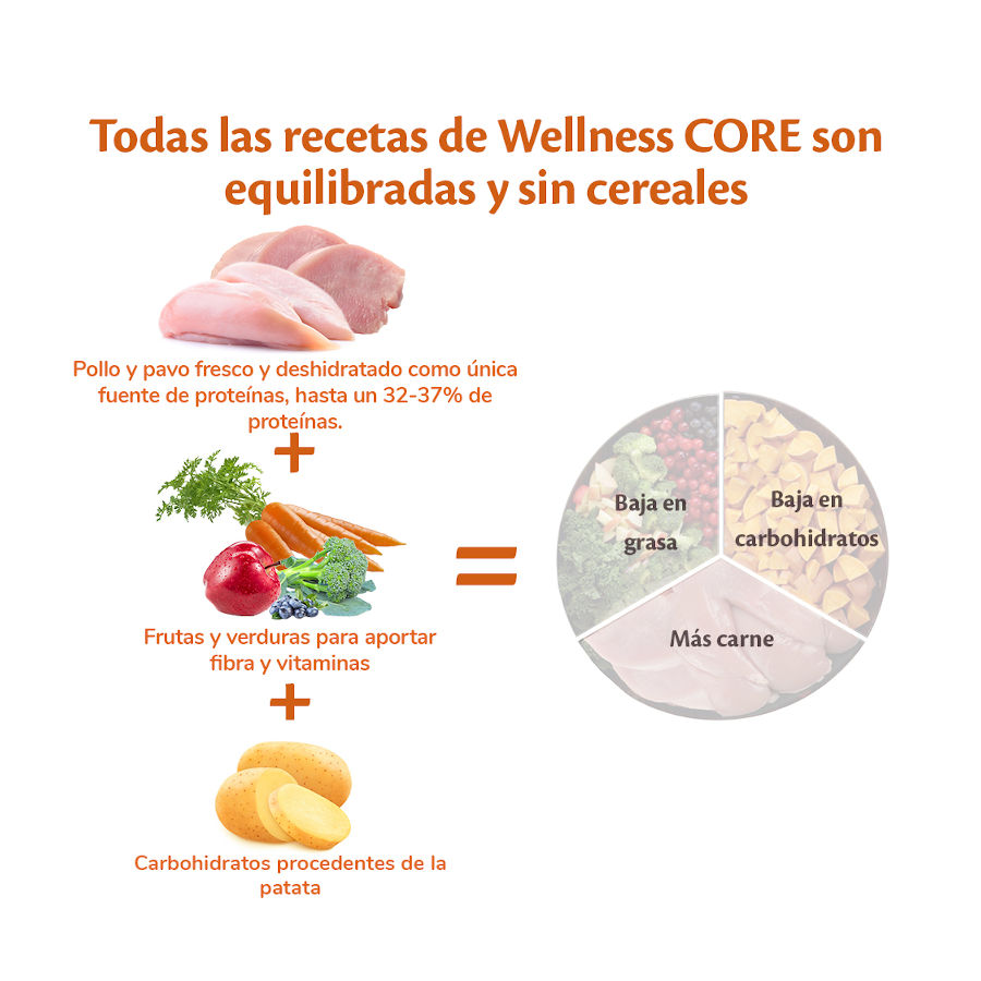 Wellness Core Adult Medium/Large Healthy Peru ração para cães , , large image number null