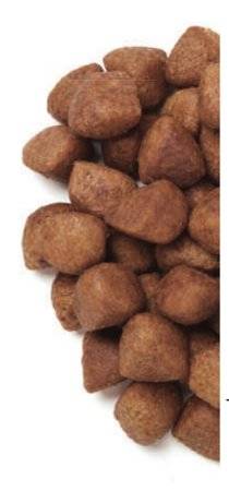 Hills prescription diet metabolic perdida peso perros
