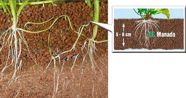 Substrato para aquÃ¡rios Manado
