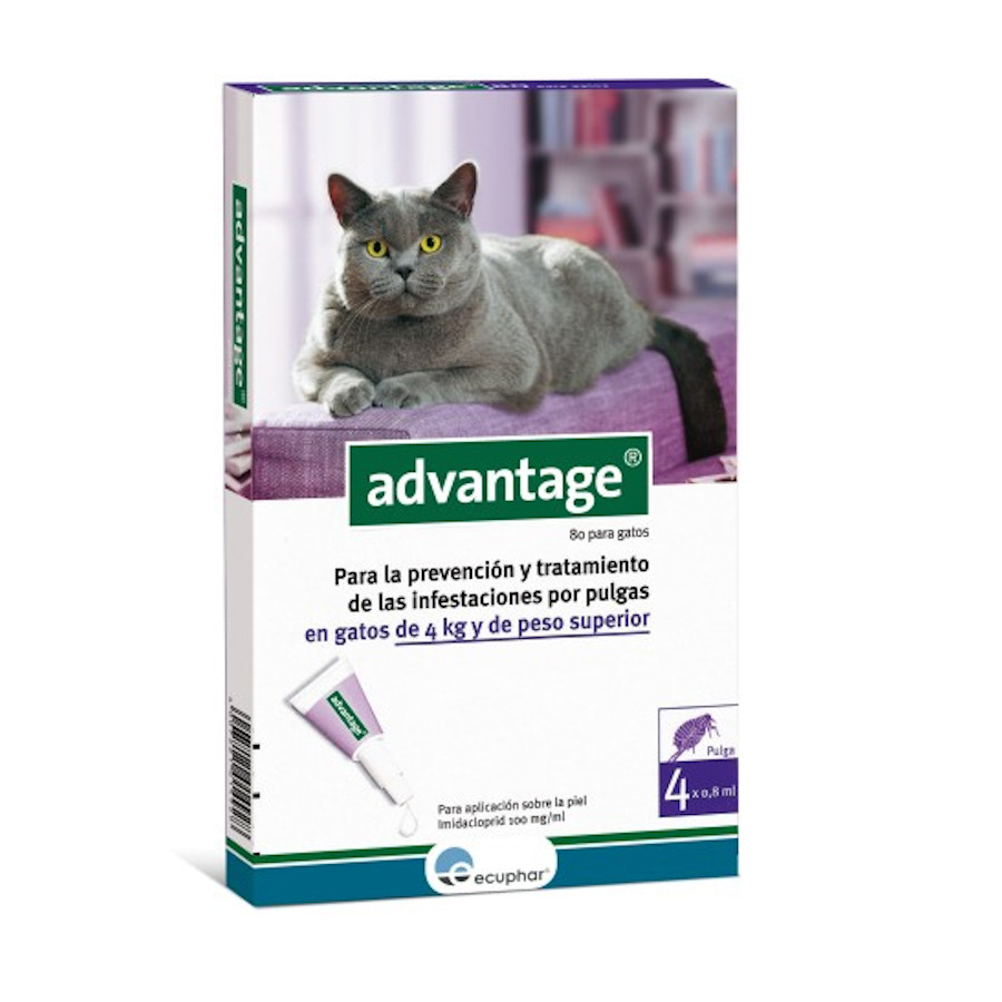 Advantage pipetas antiparasitárias para gatos