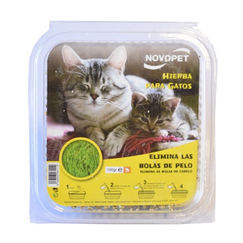 0.1 KG Novopet Catnip