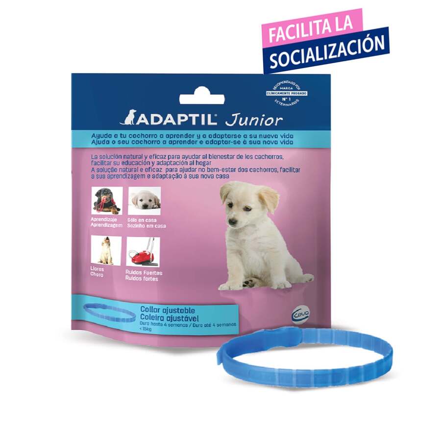 Adaptil Junior Coleira Anti-stress para cães