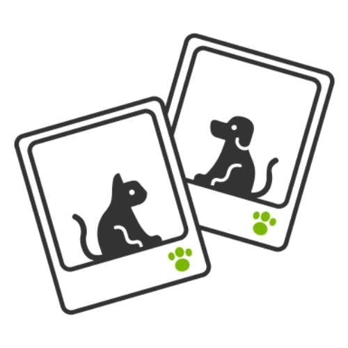 Ownat Ultra Mature Ração de frango e peru para gatos