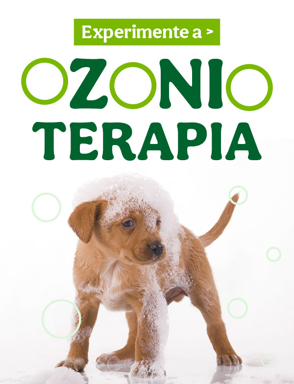 Ozonoterapia